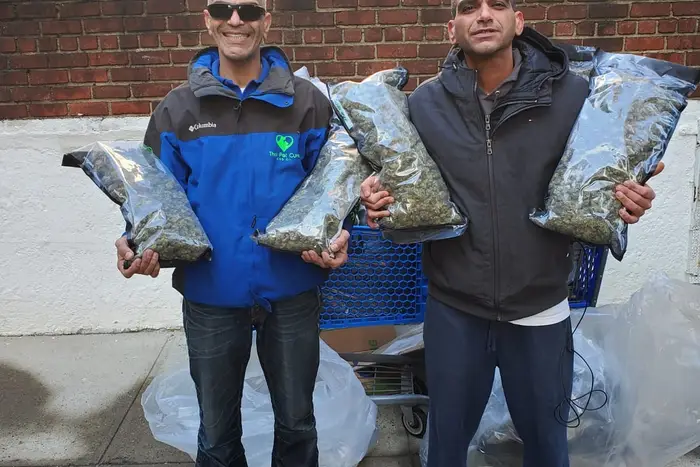 The Levy brothers posing with their hemp after picking it up from the NYPD